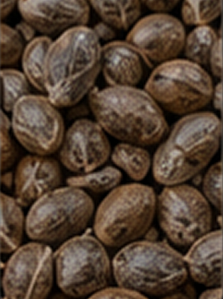 0020